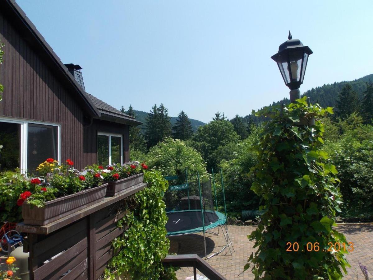 Gaestezimmer Haus Talblick Lautenthal Exterior foto