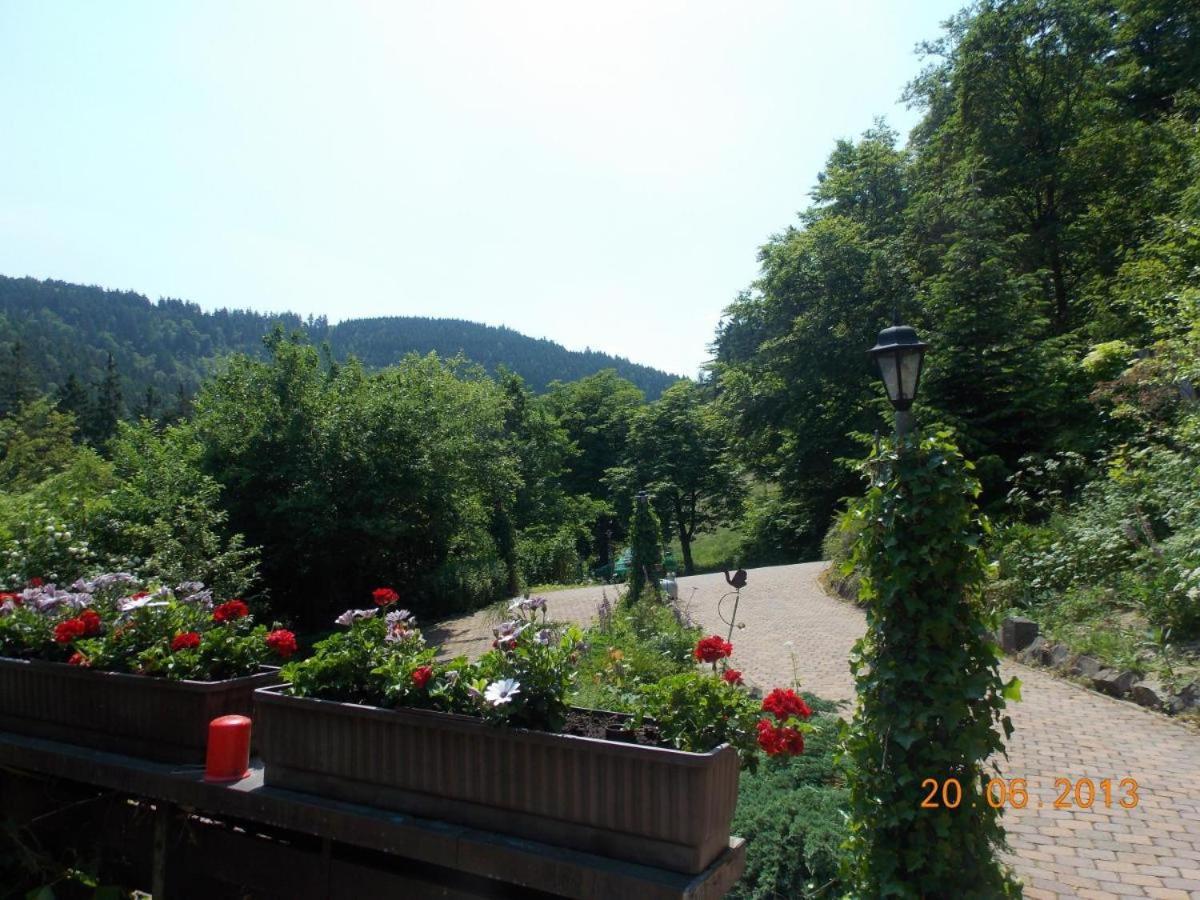 Gaestezimmer Haus Talblick Lautenthal Exterior foto